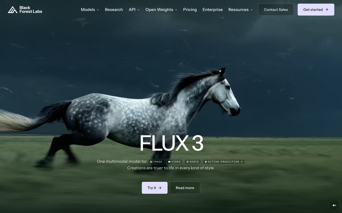 FLUX.2 — screenshot of the official site